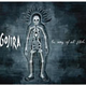 Illustration for article titled The best music of 2008: The Ballots
